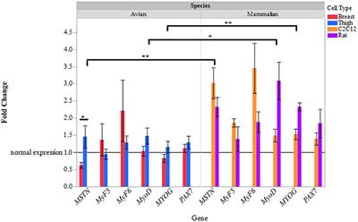 Ammonia Induces a Myostatin-Mediated Atrophy in Mammalian Myotubes, but Induces Hypertrophy in Avian Myotubes